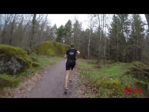 Närkes Terräng-DM (korta) 2018 - 4 km (Löparperspektiv)