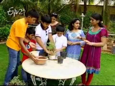 nainika demo on gardening