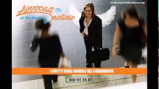 Gli animali in condominio