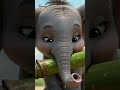 കുറുമ്പൻ ആന Aana Song Malayalam Rhymes For Children Galatta Kids Elephant Song S