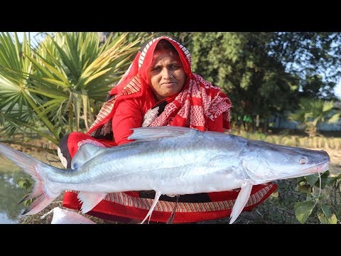 Bengali Aar Mach Vuna Recipe Village Style Cooking Easy & Spicy Ayer Fish Curry Village Food Video
