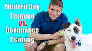 The Dominance Myth in Dog Training Explained