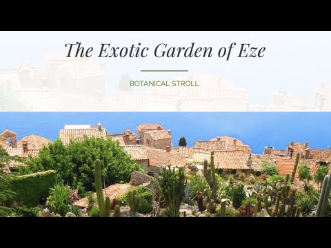 The Exotic Garden of Eze | Botanical Stroll