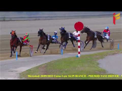 III Corsa del 28 settembre 2022 - Cat. F - Metri 2000/2020