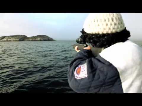 Hinnarik Piniaqatigalugu