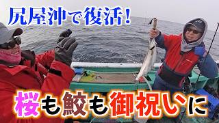 【桜鱒】ギプスから開放されての復活釣り！魚が祝福に来てくれました
