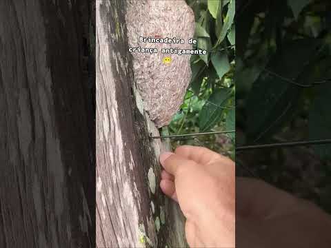 Brincadeira de antigamente