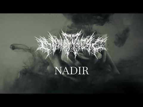 Monosphere - Nadir (feat. Jei Doublerice of Despite Exile) (Official Visualizer)