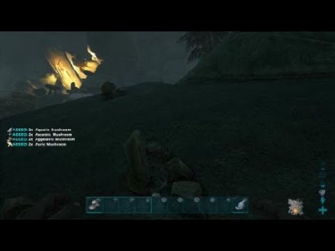 How to tame a Bulbdog!! Ark:Aberration