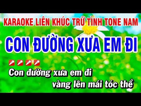 Karaoke Liên Khúc Trữ Tình Nhạc Xuân Tone Nam Dễ Hát - Con Đường Xưa Em Đi | Hoài Phong Organ