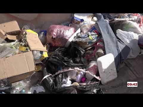 INSALUBRIDAD, PLAGAS Y RIESGO DE INFECCIÓN INVADEN A RESIDENTES EN LA COLONIA JULIÁN CARRILLO