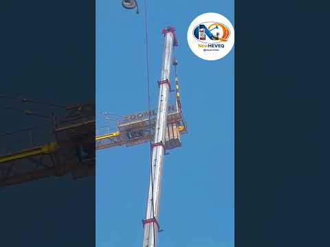 لوبد أثناء العمل - نيو هيفيك