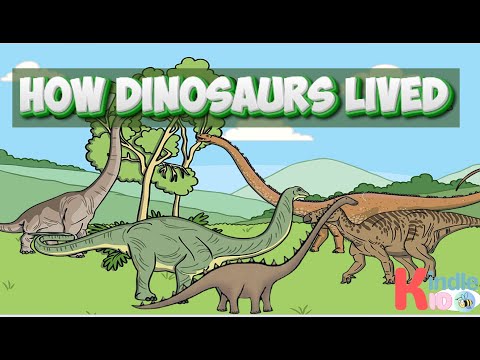 How Dinosaurs Lived | Video 2 | Kids Book | Read Aloud | Bedtime Stories #dinosaur #kidslearning
