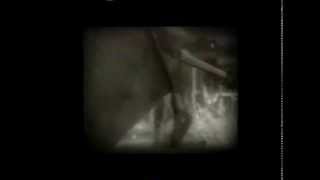 Weddings Parties Anything - Step In, Step Out (1992)