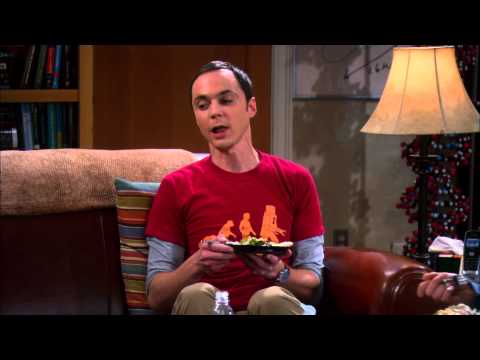 Big Bang Theory - Die beste Zahl #73 (german)