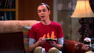 Big Bang Theory - Die beste Zahl #73 (german)