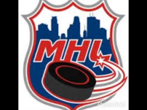Mini Hockey League coming