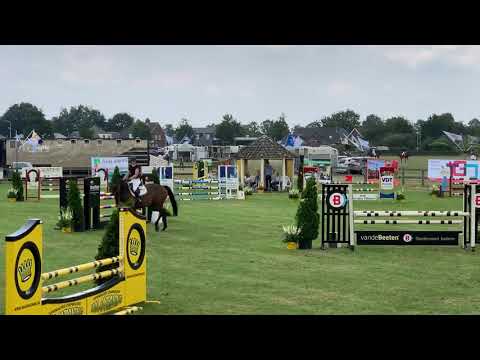 Arezzo VDL x Cardento, mare 2014. Winning round Volkel