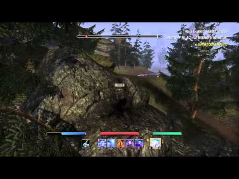 ESO VR14 Sorc PvP [Shameless Gank'n III] (feat. Terror_eso and the death of that other biocide)