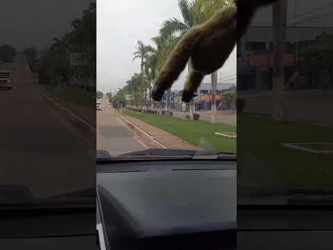 OURILANDIA DO NORTE NO SUL DO PARÁ A CAPITAL DO NÍQUEL #viagem #cidades #youtubeshorts