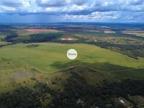 FAZENDA A VENDA EM LUZIANIA-GO - 278 HECTARES - 160 HA PLANTANDO SOJA