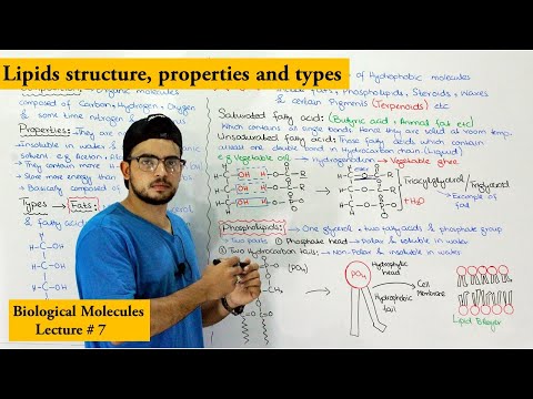 Lipids Structure, types and Functions Part 1