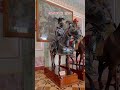 Mannequins of Ancient Knights in Armor on Horses in Hermitage Museum | #shorts  #horses #armor