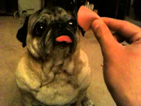 Impressive restraint!