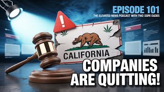 Canna Companies Are Quitting! Industry Shakeups, Free Tix &amp; What Illinois Just Exposed 🚨