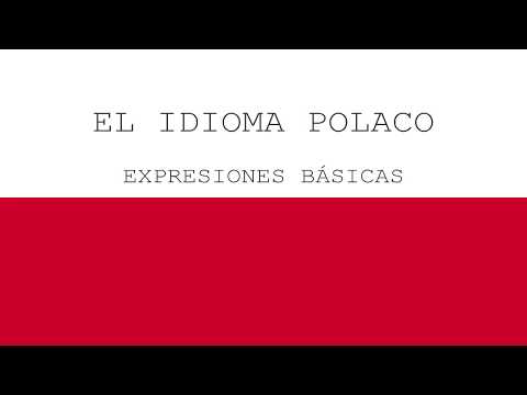 EL IDIOMA POLACO | LAS EXPRESIONES BÁSICAS #1