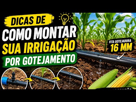 DICAS de COMO montar IRRIGAÇÃO por GOTEJAMENTO.