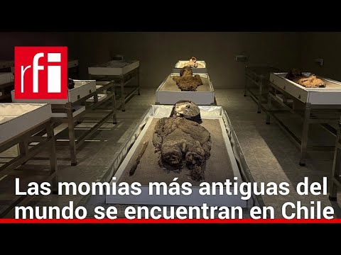Las MOMIAS del ANTIGUO EGIPTO y las más ANTIGUAS del MUNDO: el proceso de MOMIFICACIÓN 🧟♂️