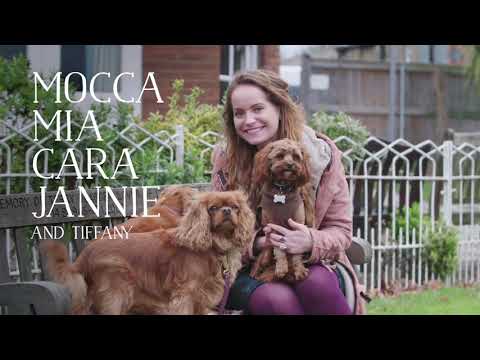 Butcher's Food for Dogs TV Advert - Behind the Scenes - Tiffany, Mocca, Mia, Cara and Jannie
