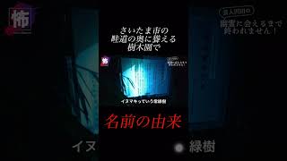 【⬇️本編はコチラ⬇️】薬師堂のマキの名前の由来が意外だった