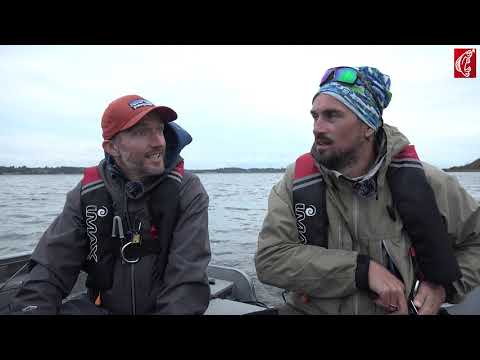 Angeln am Limfjord: Das unbekannte Meerforellen-Paradies