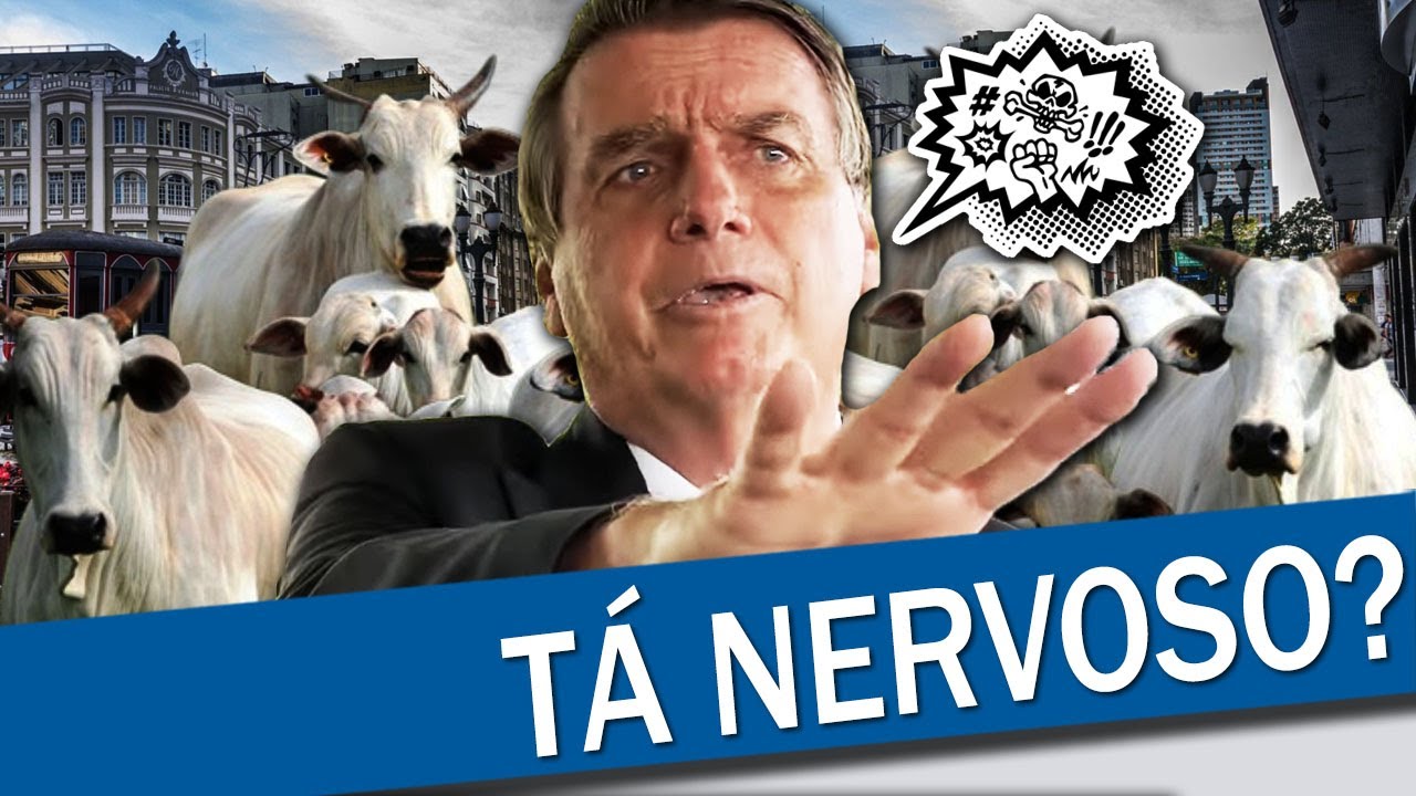 BOLSONARO GETS IRRITATED WITH SUPPORTERS IN THE CORNER