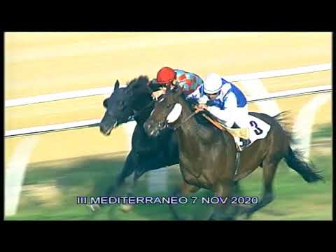 Galoppo Corse del 7 Novembre 2020