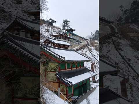 달눔자리 영상