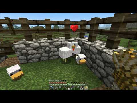 Let's play Minecraft S1E31 (V1.3.1 - 1.4.7): Chicken home