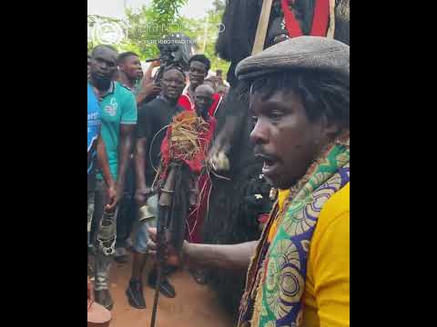 ajo ofia evuuuul forest nnewi at the last day of afia olu extra by eze ikoro