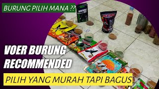 Download lagu What kind of bird food is suitable for our birds? High-protein bird food or low-protein bird food? mp3