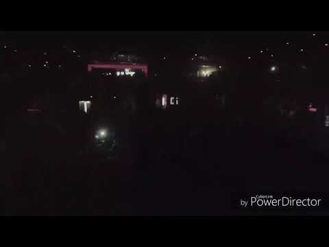 Pharaoh vine / coldsiemens