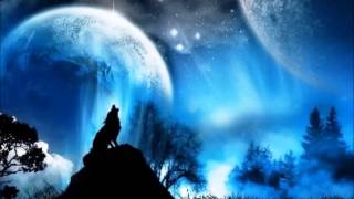 Meditation Spirit of The Lone Wolf