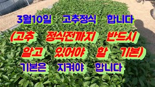 고추정식하기 전까지 반드시 알고 있어야 할 기본중에 기본은 어떤게 있을까요