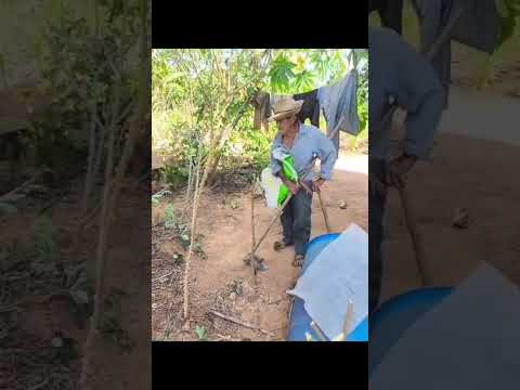 João e Manezinho - Cachoeira/Orizona GO