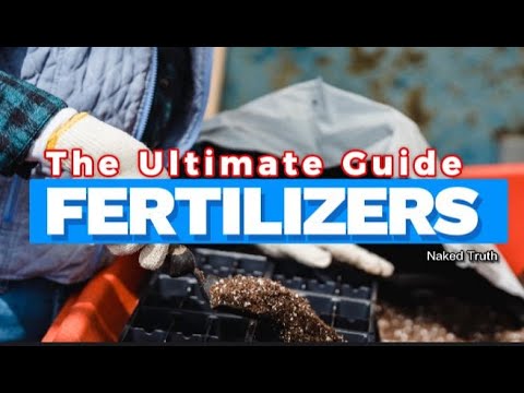 The Ultimate Guide to Understanding Fertilizers and Plant Nutrition