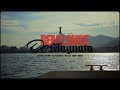 Longe De Magnata MC Tuto MC Vine7 MC Joãozinho VT Borges MC Kako E Chefin Deejhay RB