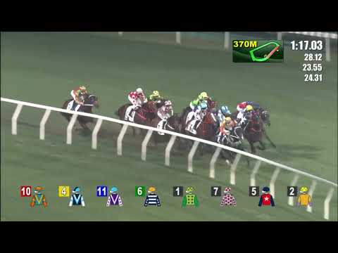 20/4/2022 (603) Gorytus - Alfred Chan