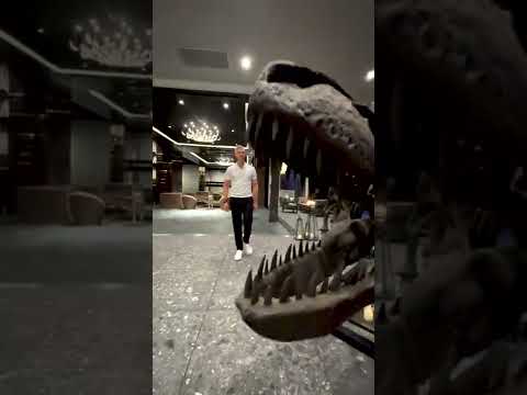 You NEED ALL THESE THINGS in Your House! ... Dinosaur Fossil and 8 Pelotons  #shorts