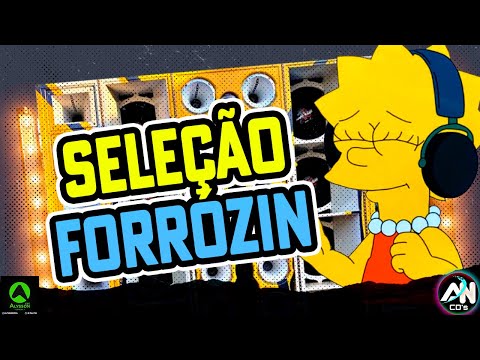 SELEÇÃO FORRÓZIN 2026 - CD ANO NOVO 2026 - HITS ATUALIZADO AS MAIS TOCADAS TIKTOK 2026 - PRA PAREDÃO